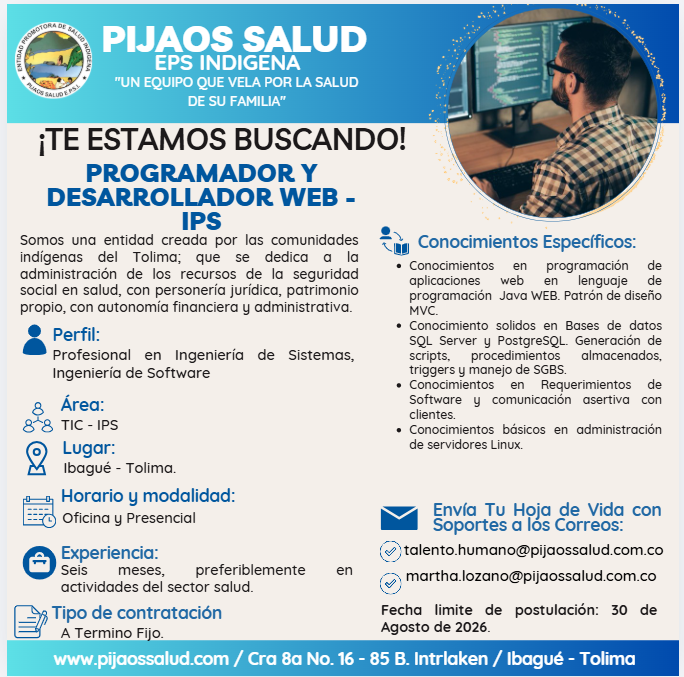Programador y Desarrollador Web - IPS