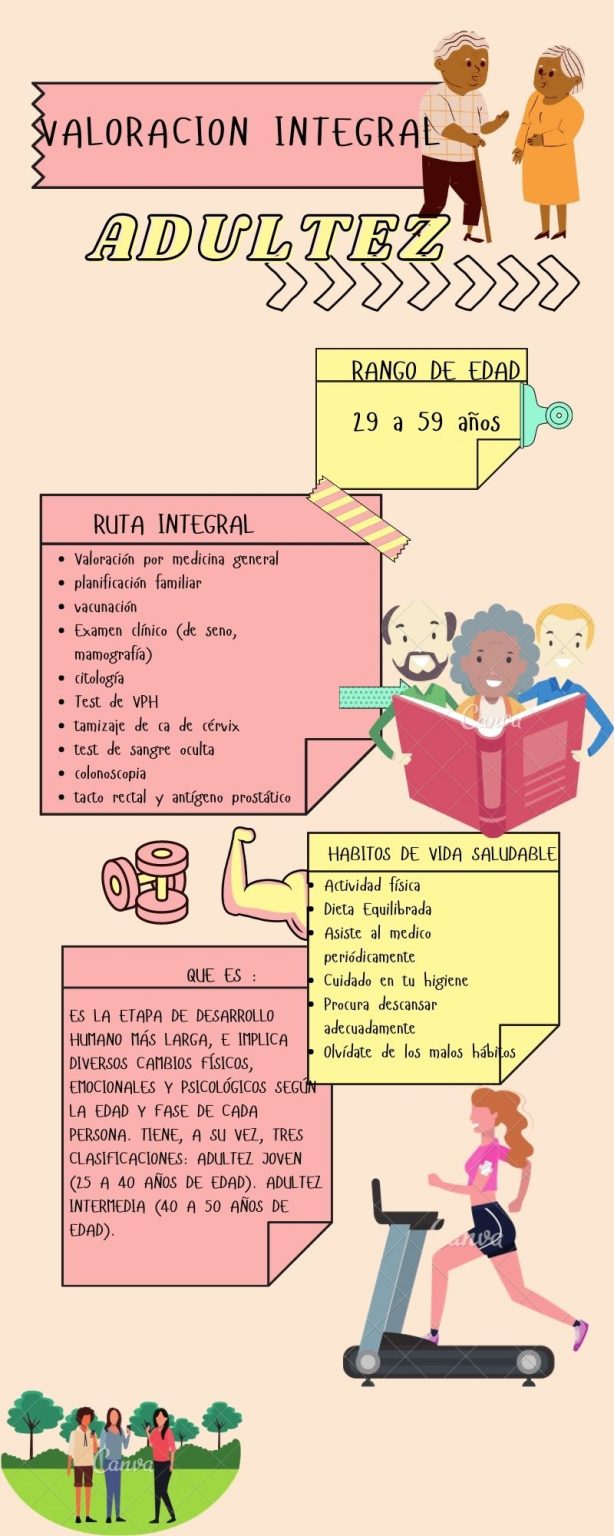 Infografía Curso de Vida Adultez 29 a 59 años